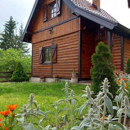 Brvnare Na Brdu Villa Sljivovica  Exterior foto